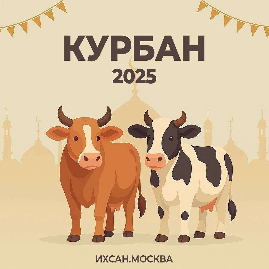 Подробнее о статье ОЧЕРЕДНАЯ АКЦИЯ КУРБАН С ИХСАНОМ 2025 ПРОШЛА В МОСКОВСКОМ РЕГИОНЕ